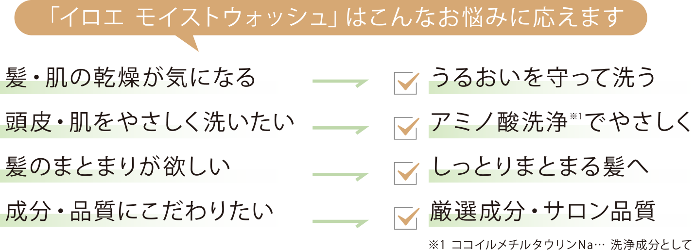 「イロエ モイストウォッシュ」はこんなお悩みに応えます　うるおいを守って洗う／アミノ酸洗浄でやさしく／しっとりまとまる髪へ／厳選成分・サロン品質