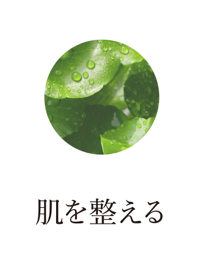 肌を整える